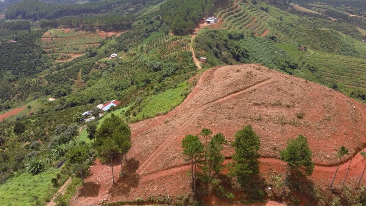 Công ty TNHH Mai Bình sử dụng 320 ha đất rừng sai mục đích. Ảnh minh họa/Pháp luật Việt Nam.