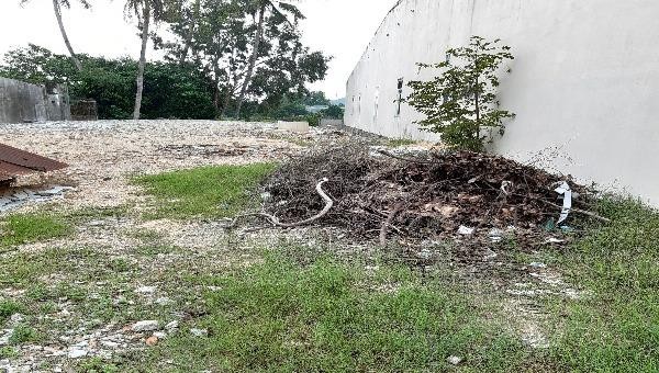 Thực tế cạnh Nam thửa đất 382 của hộ bà Thơ và tường nhà ông Hậu.