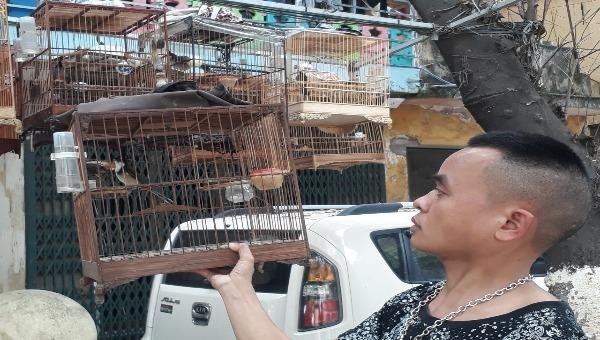 Chăm sóc chim là niềm đam mê của anh Nhớ.
