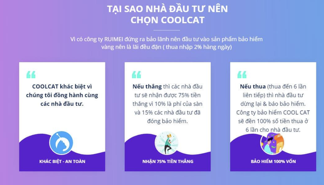 Ứng dụng Coolcat quảng cáo trên mạng.