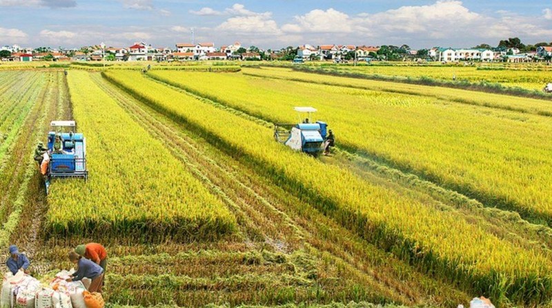 (ảnh minh họa).