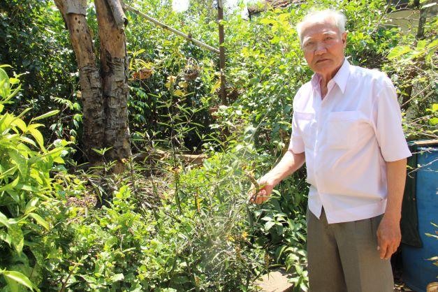 Lương y Phạm Duy bên cây thuốc trong vườn nhà.