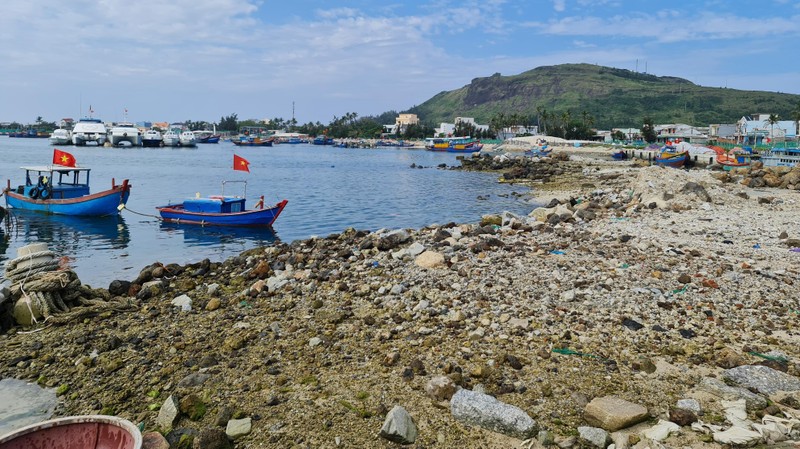 Quảng Ngãi đôn đốc các chủ sở hữu khẩn trương di chuyển bè hút cát và phương tiện liên quan đi nơi khác, ra khỏi khu vực đang thi công Vũng neo đậu tàu thuyền Lý Sơn.