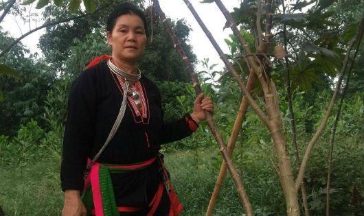 Lương y Triệu Thị Chính