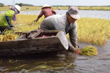 Ảnh minh họa.