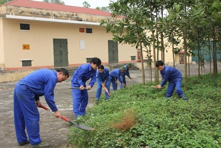 Phát quang cỏ dại, chăm sóc vành đai cây xanh.