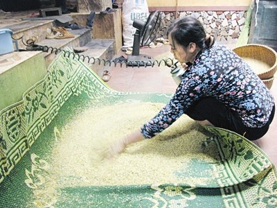 Nồm ẩm dễ khiến các thực phẩm hạt nhiễm nấm mốc và sinh độc tố Alfatoxin gây ung thư.