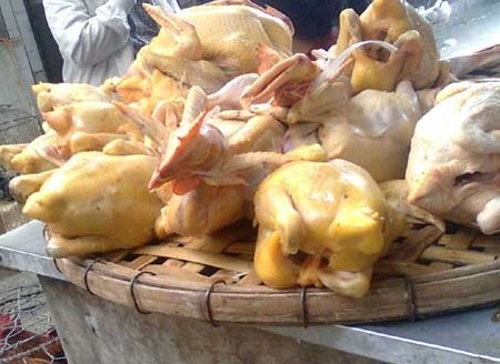 Theo các chuyên gia, kháng sinh trong các sản phẩm gà thải loại rất nguy hại tới sức khỏe. Nếu tích tụ nhiều và lâu dài trong cơ thể có thể làm cho con người biến đổi gen. Ảnh minh họa