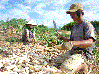 Phơi mình trong nắng để