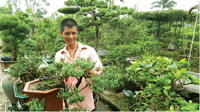 Trong vườn cây cảnh nhà anh Chiến