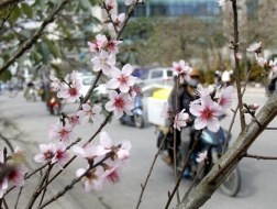Hà Nội sẽ còn ấm thêm trong 2 ngày tới