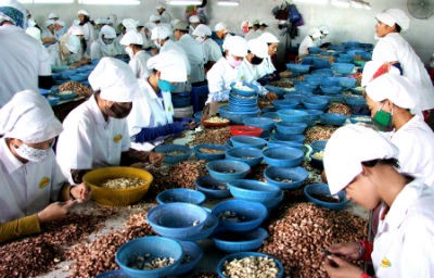 Cần nhiều giải pháp thiết thực để phục hồi nền kinh tế. Ảnh: MH