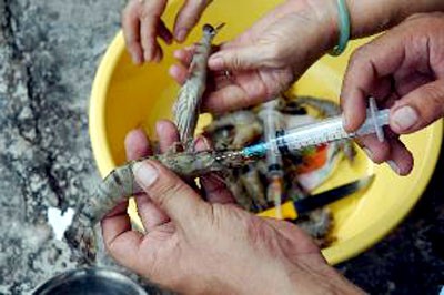 Hình chỉ mang tính minh họa (Internet)