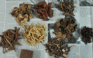 Người dân có thể tự chế bài thuốc chữa chấn thương theo bí quyết của ông Sáng