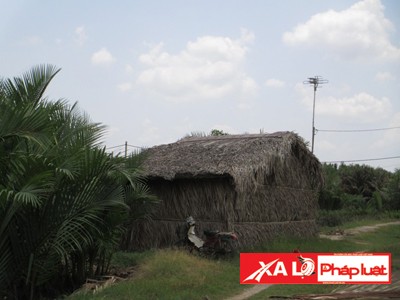 Khó khăn lắm mới gặp một ngôi nhà lá đơn sơ trên đảo
