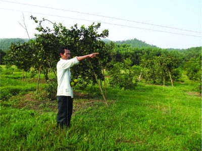Ông Nguyễn Quảng Sỹ (xóm 8, xã Sơn Thọ) bên trang trại của gia đình