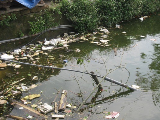 Rác thải tại ao Sen của thôn Ngọc Than