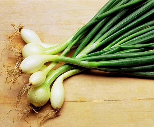 Cây hành chữa vết thương rất hiệu nghiệm.