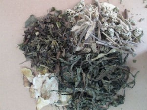 Lá cây thèn đen giúp chữa hóc xương