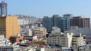 Một khu nhà cao tầng tại Busan. Ảnh: Internet