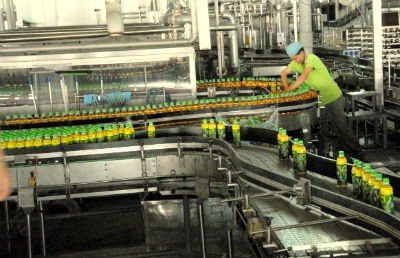 Dây chuyền sản xuất Trà xanh không độ của THP