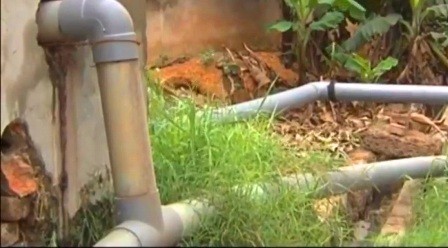 Ống dẫn chất thải của các trại nuôi lợn ra sông Tích.