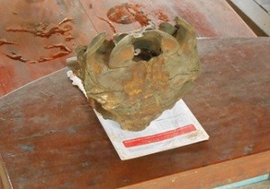 Mặt sau của hộp sọ cũng rất kỳ lạ