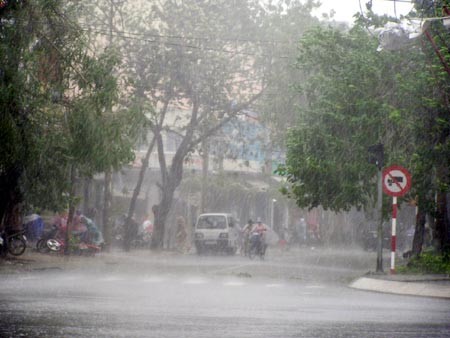 Ảnh minh họa từ VTC news.